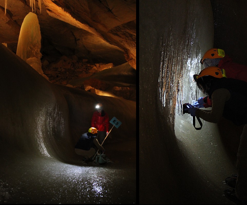 12 04 30 - 10h 45m 18s - prélèvements dans le bas de perceval dôme r mont