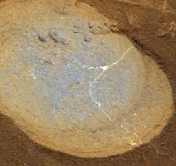 mars-curiosity-rover-drilling-Sol-722-Mastcam-Color-pia18602-full détail 1